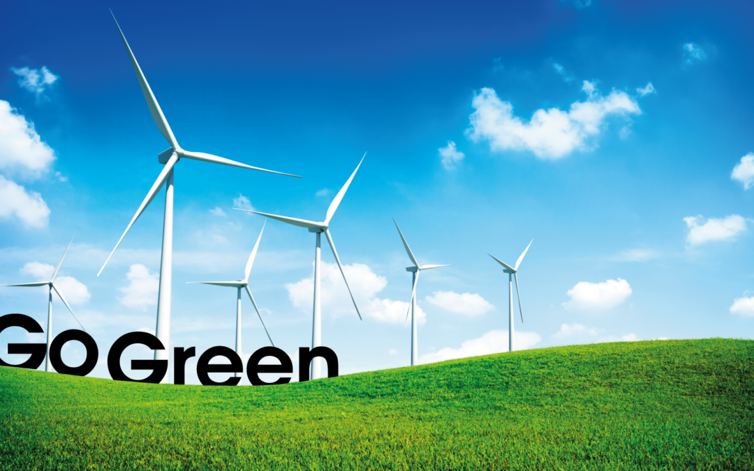 Energia Verde Power.it: diamo il nostro contributo